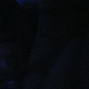 Meet your Posher, Isabella